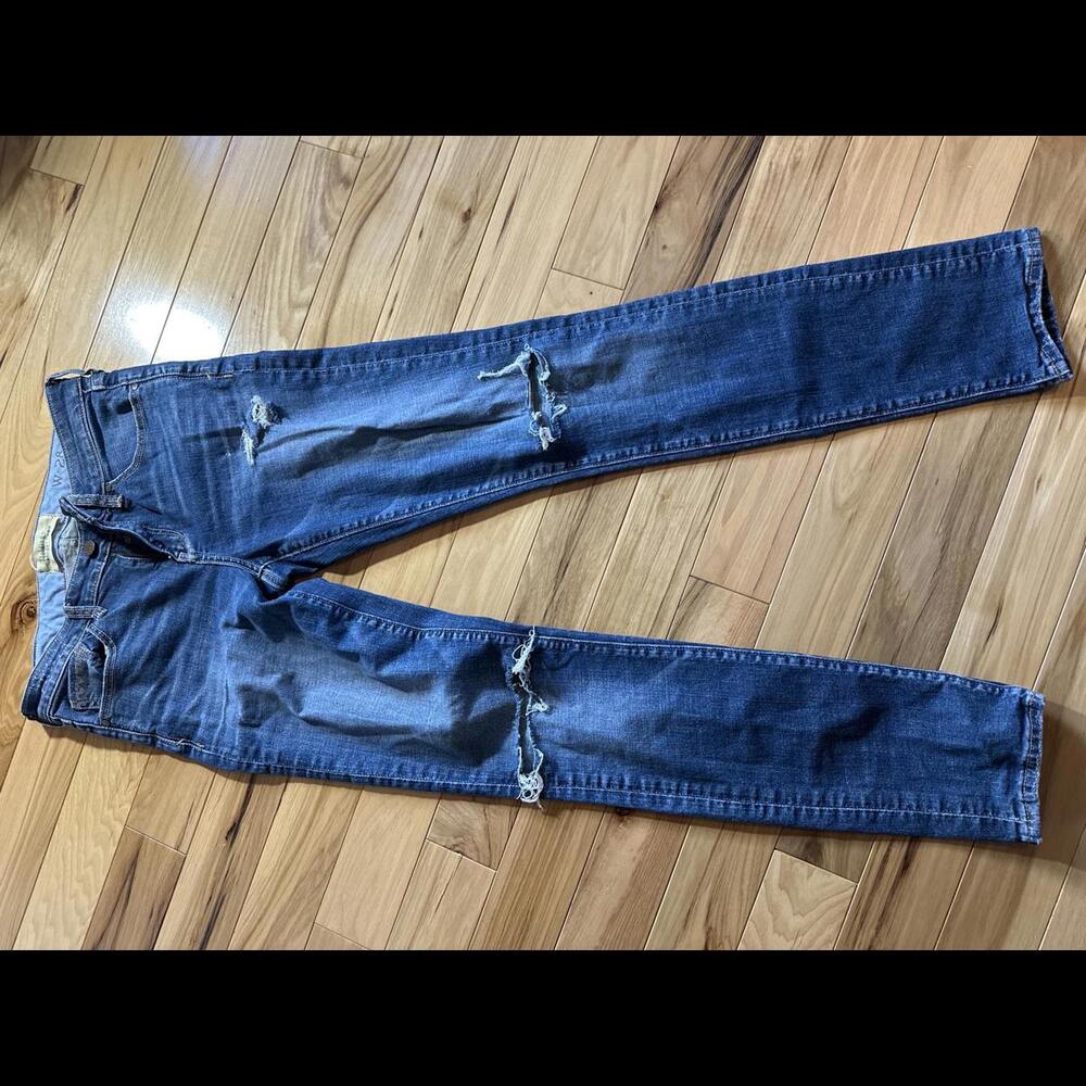 Anthropologie Holding Horses Sz 28 Destroyed Skinny Jeans!  [COPY]